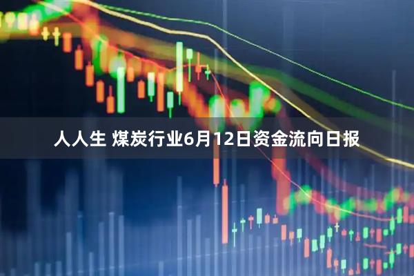 人人生 煤炭行业6月12日资金流向日报