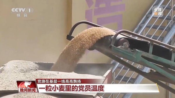 牛鑫所 收购热度不断攀升 小麦如何颗粒归仓？