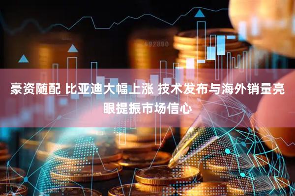 豪资随配 比亚迪大幅上涨 技术发布与海外销量亮眼提振市场信心